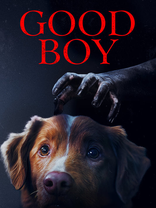 Good Boy - Blu-Ray