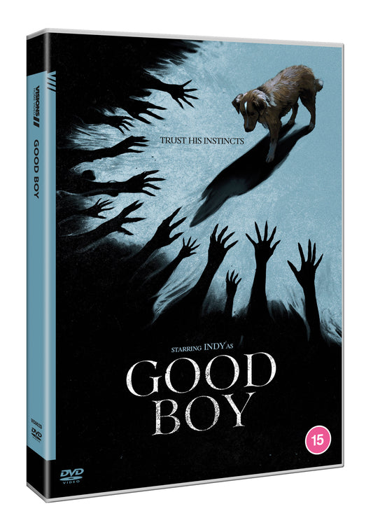 Good Boy - DVD